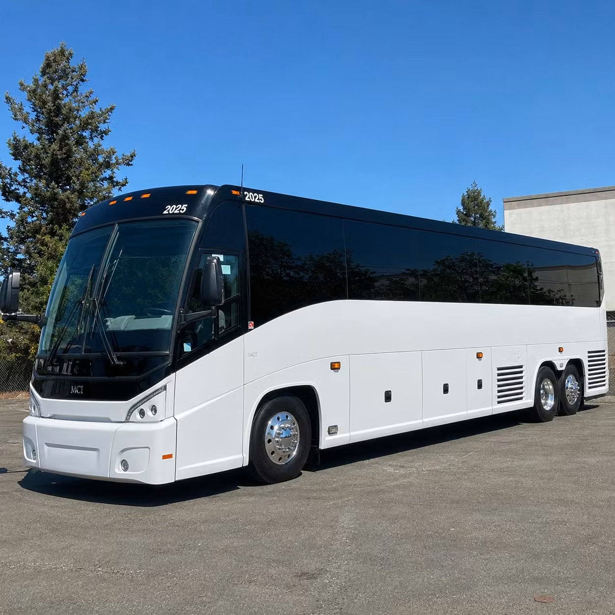 transport youth groups and mission teams from wylie to anywhere in texas